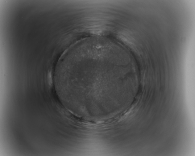 X0000088181106200705291946