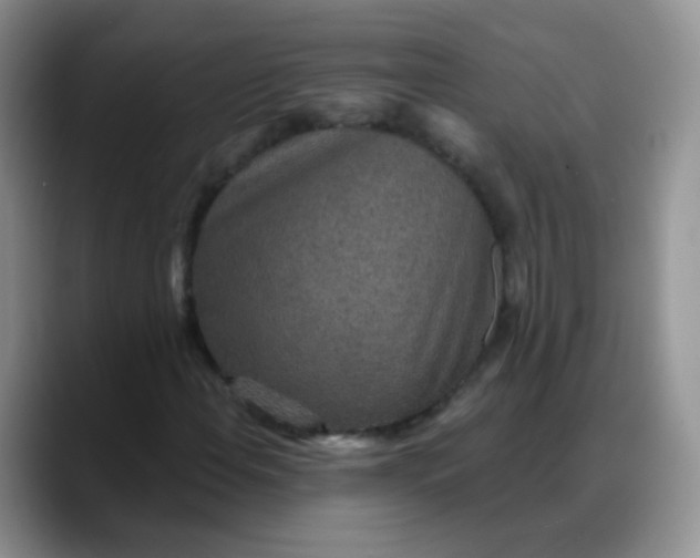 X0000088181108200705291946