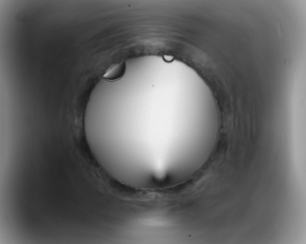 X0000088181109200705291946