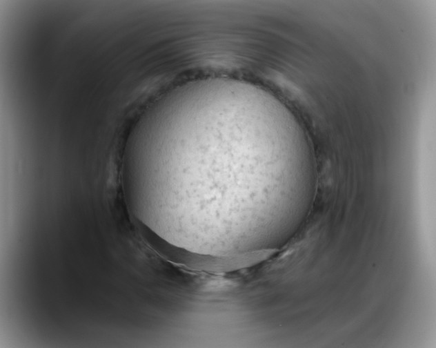 X0000088181110200705291946
