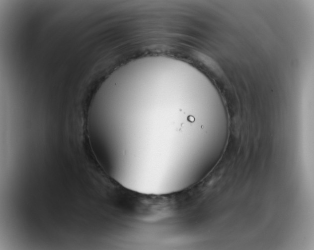 X0000088181111200705291946