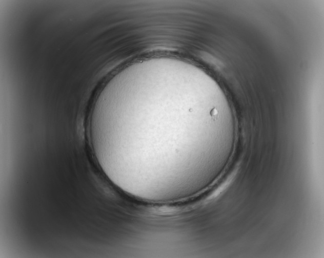 X0000088181113200705291946