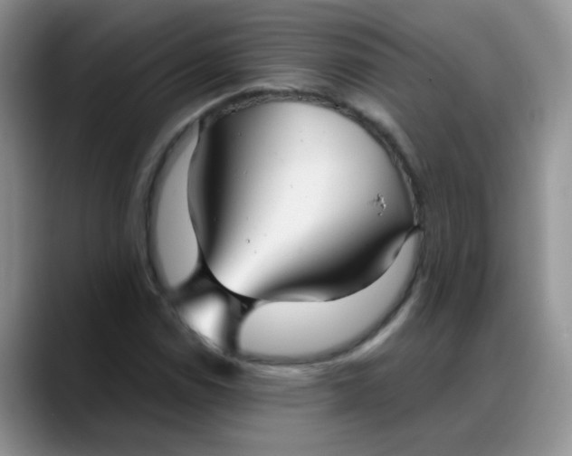 X0000088181114200705291946