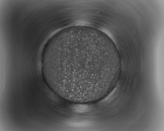 X0000088181115200705291946