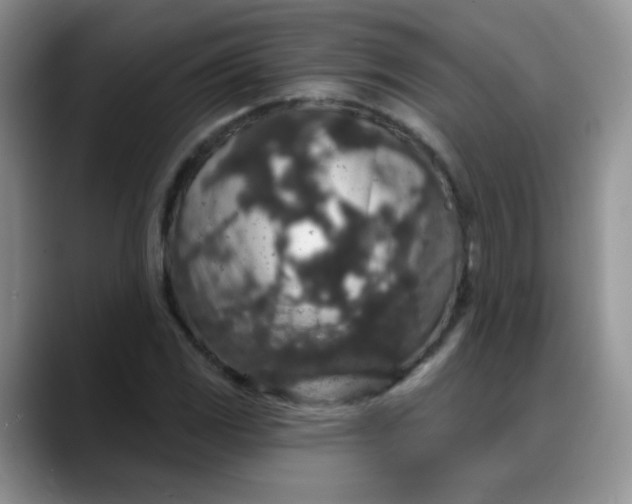 X0000088181117200705291946