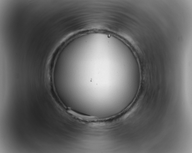 X0000088181118200705291946