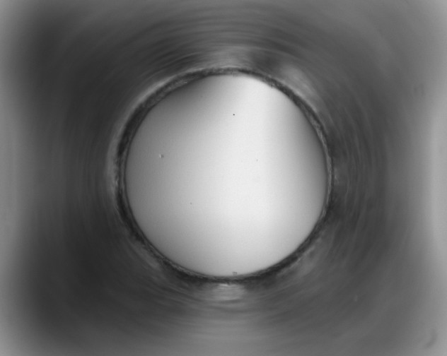 X0000088181119200705291946