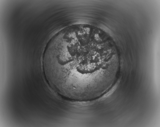 X0000088181121200705291946
