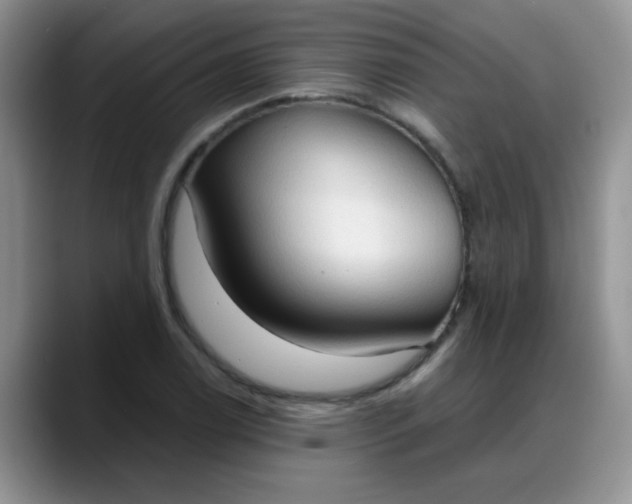 X0000088181122200705291946