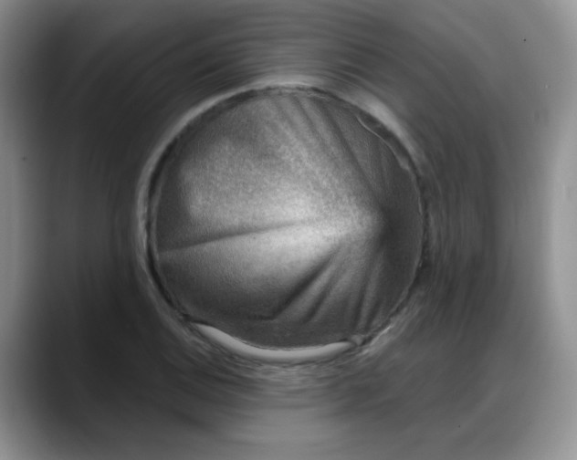 X0000088181124200705291946