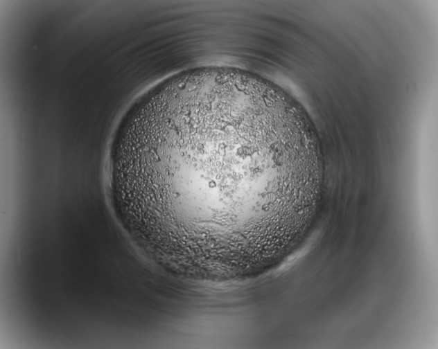 X0000088181125200705291946
