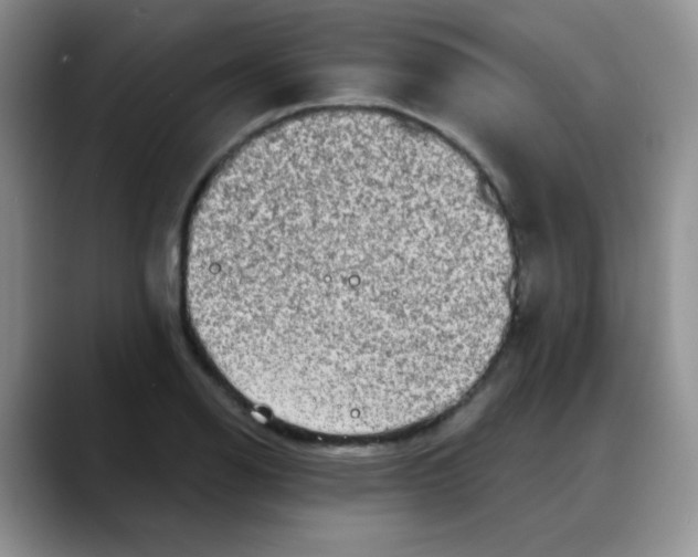 X0000088181126200705291946
