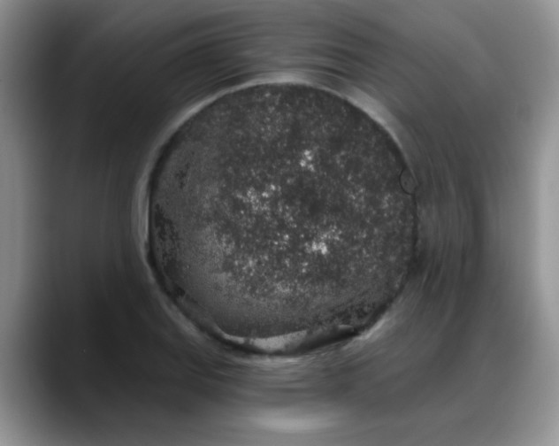 X0000088181127200705291946