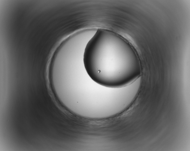 X0000088181128200705291946