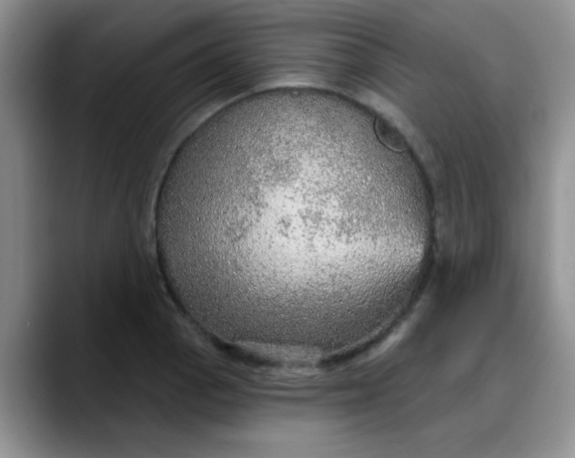X0000088181129200705291946