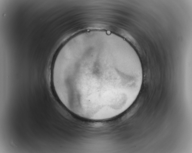 X0000088181130200705291946