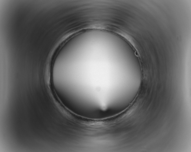 X0000088181131200705291946