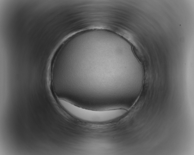 X0000088181132200705291946