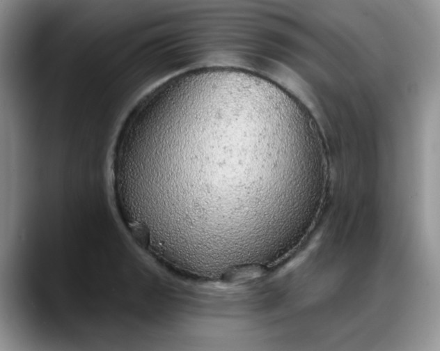 X0000088181133200705291946