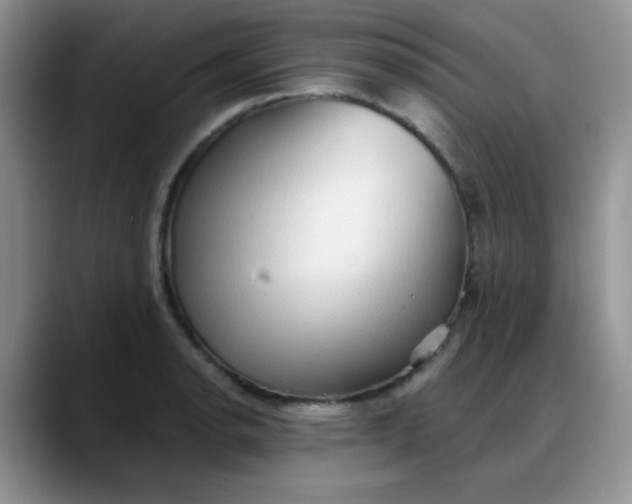 X0000088181134200705291946