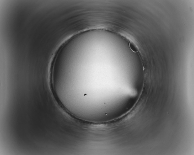 X0000088181135200705291946
