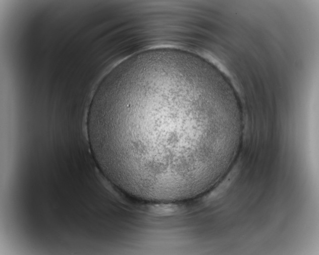 X0000088181137200705291946