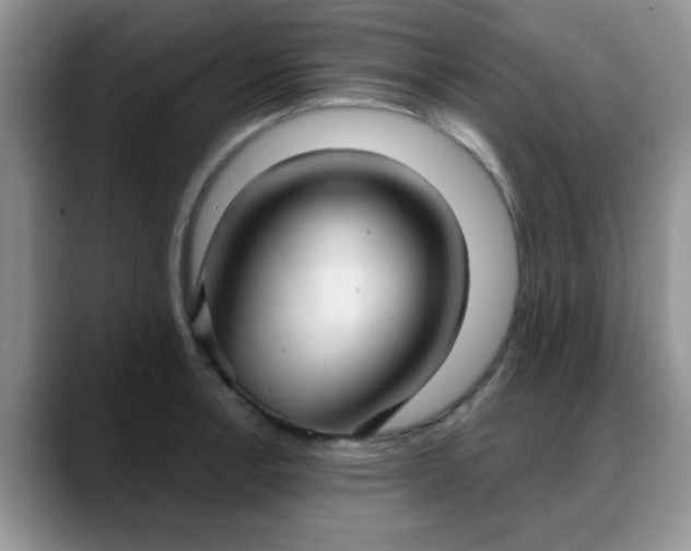 X0000088181138200705291946