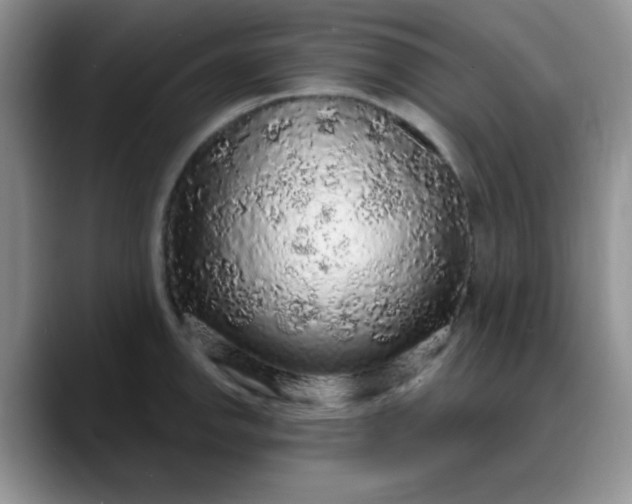 X0000088181142200705291947