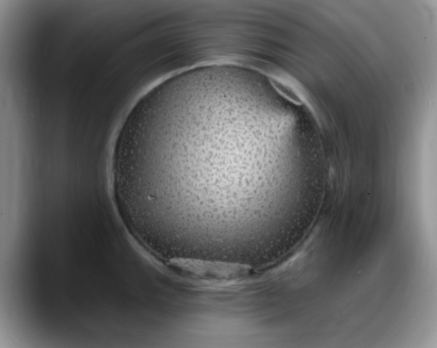 X0000088181143200705291947