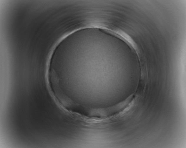 X0000088181144200705291947