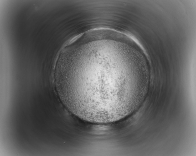 X0000088181145200705291947