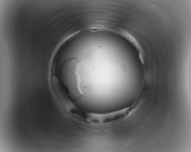 X0000088181146200705291947