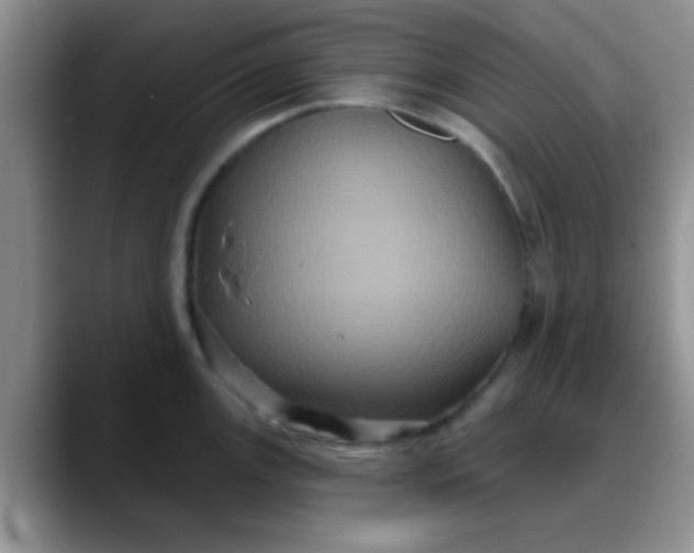 X0000088181147200705291947