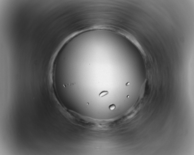 X0000088181148200705291947