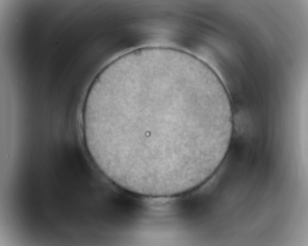 X0000088181150200705291947