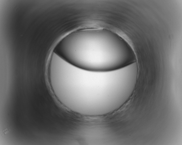 X0000088181152200705291947