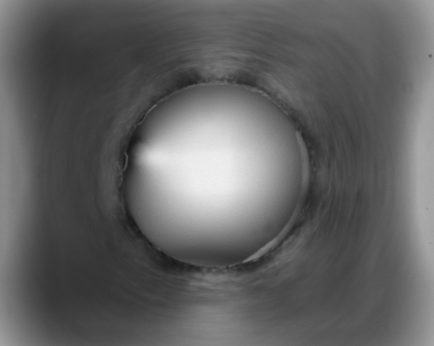 X0000088181153200705291946