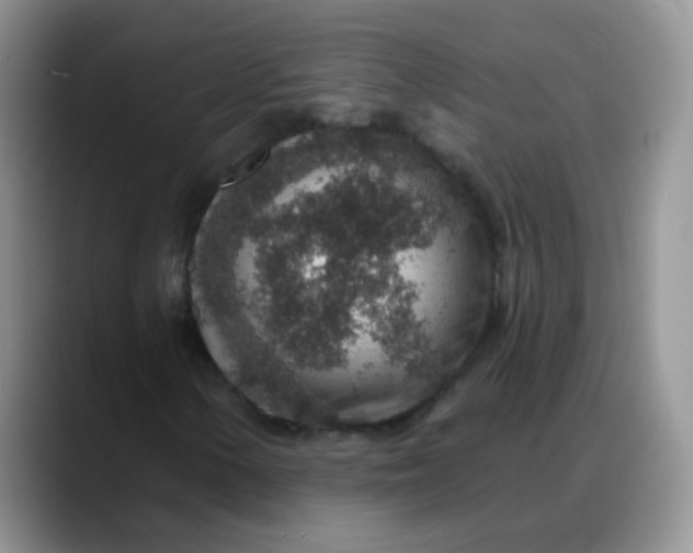 X0000088181154200705291946