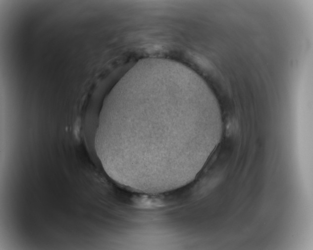 X0000088181156200705291946