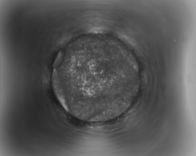 X0000088181158200705291946