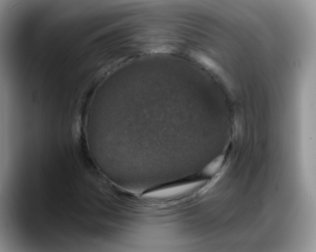 X0000088181161200705291946