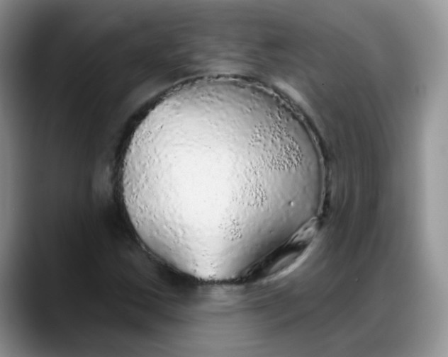 X0000088181163200705291946