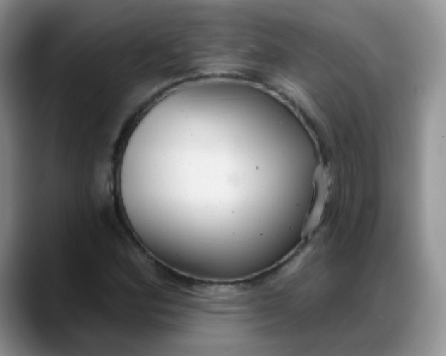 X0000088181164200705291946