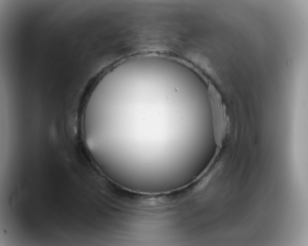 X0000088181165200705291946