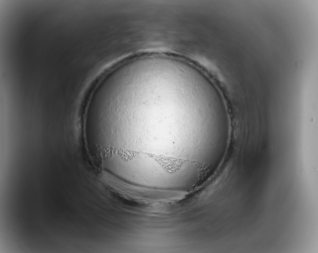 X0000088181167200705291946