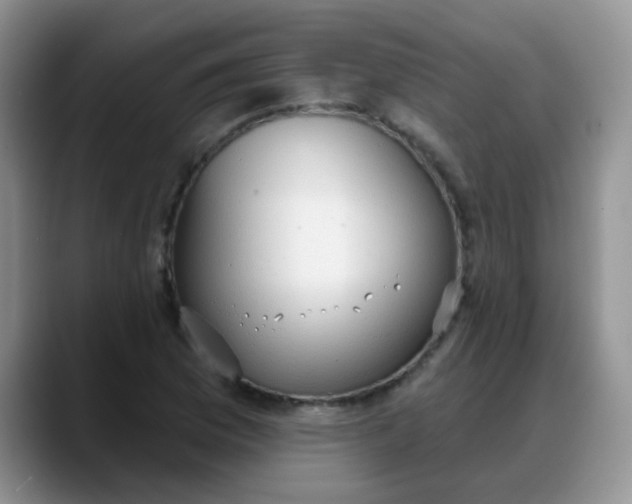 X0000088181169200705291946