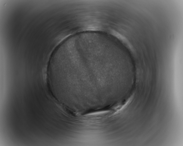 X0000088181170200705291946