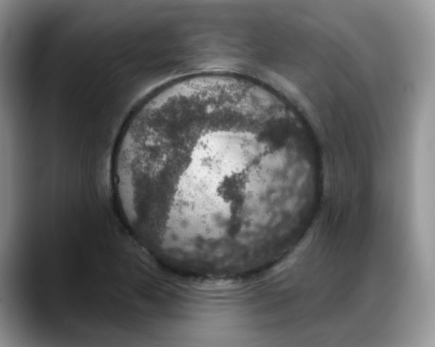 X0000088181174200705291946