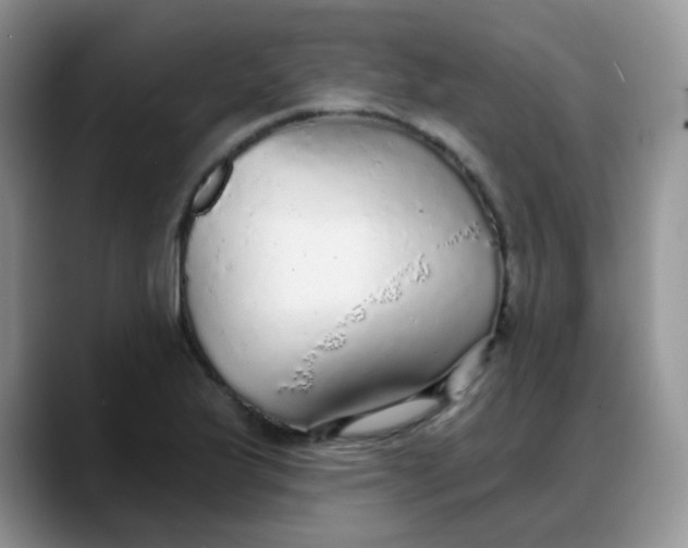 X0000088181175200705291946