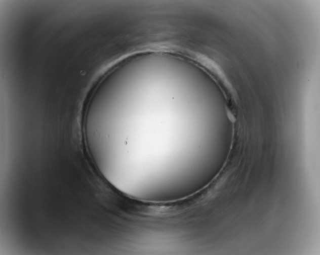 X0000088181176200705291946